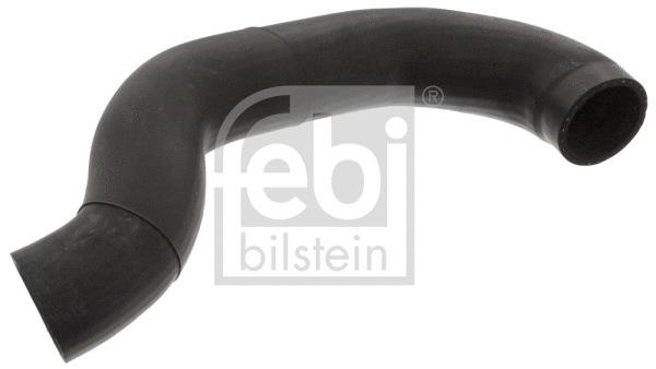 Radiator Hose (46597)