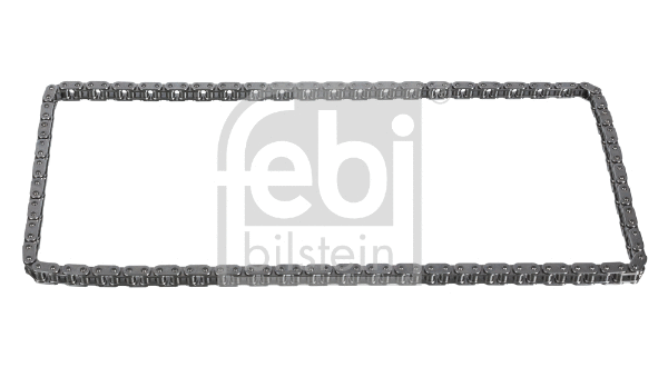 Timing Chain (30699)