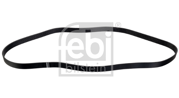 V-Ribbed Belt (177663)