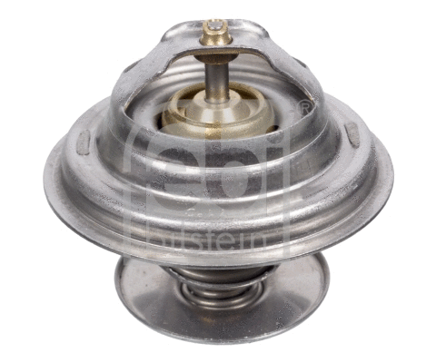 Thermostat, coolant (15847)