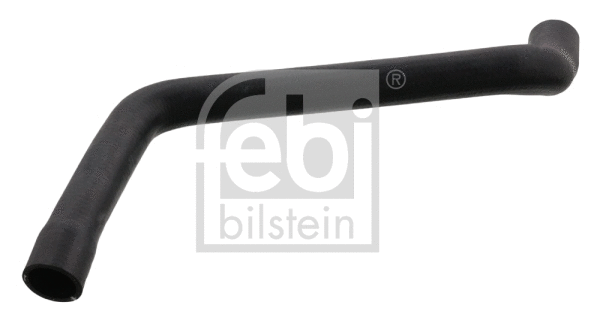 Radiator Hose (100637)