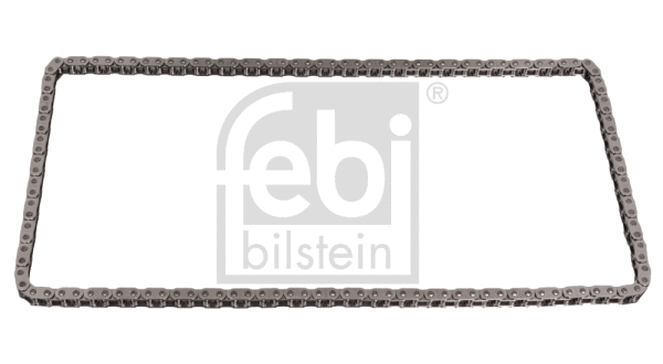 Timing Chain (49583)