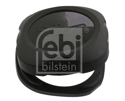 Sealing Cap, oil filler neck (46214)