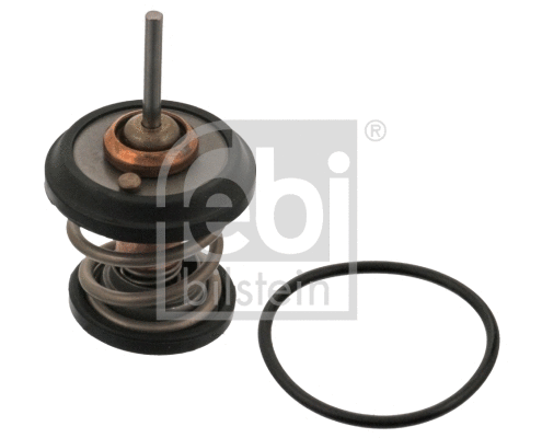Thermostat, coolant (34782)
