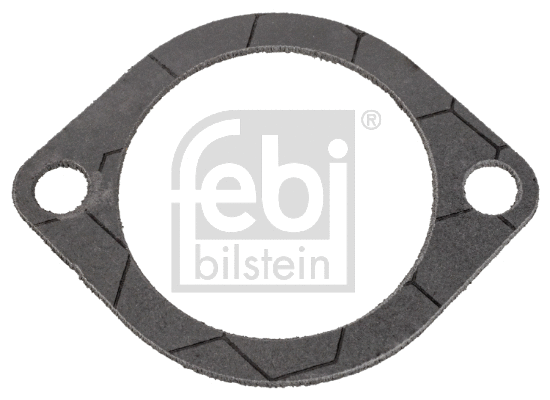 Seal, thermostat (172462)