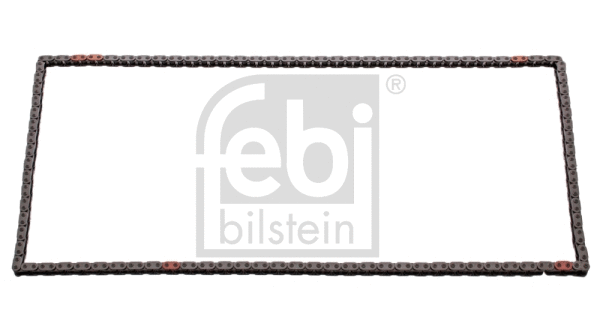 Timing Chain (45810)