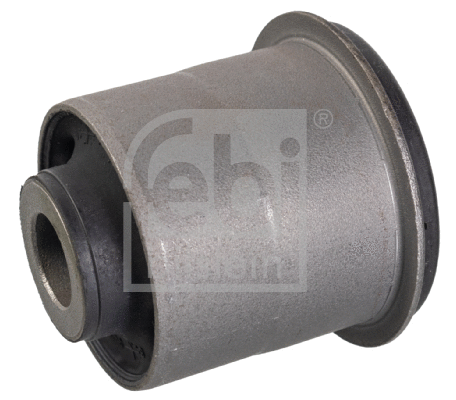 Mounting, control/trailing arm