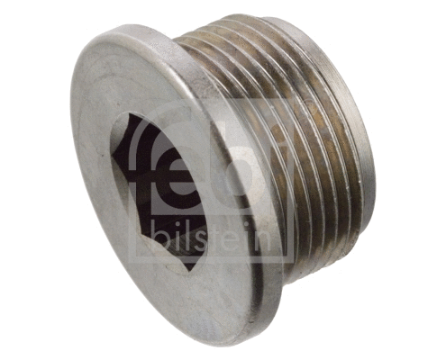 Screw Plug, oil sump (03013)