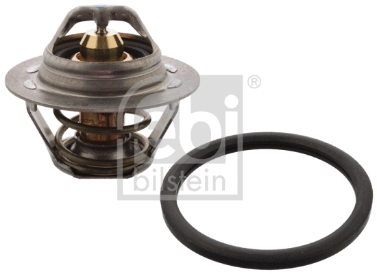 Thermostat, coolant (104794)