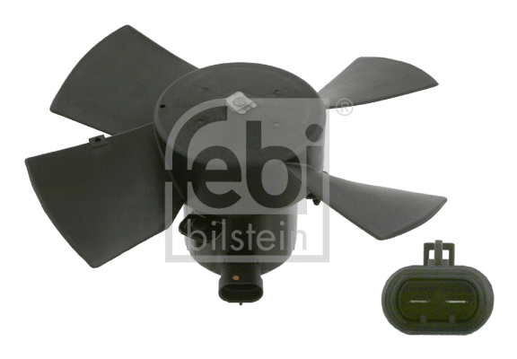 Electric Motor, radiator fan (17434)