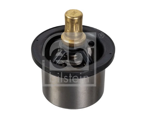 Thermostat, coolant (176605)