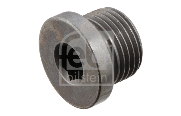Screw Plug, oil sump (31702)