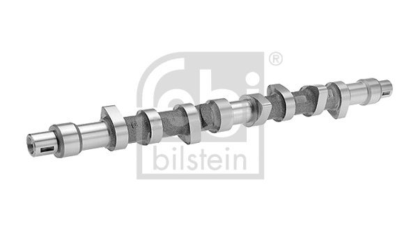 Camshaft (17069)