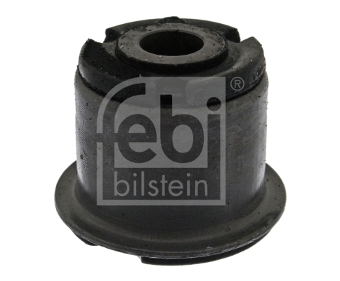 Mounting, control/trailing arm (19124)