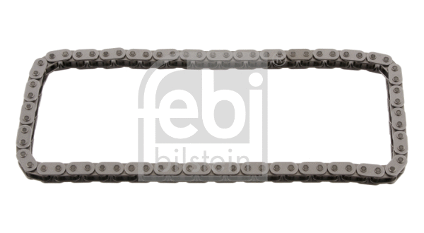 Timing Chain (29865)