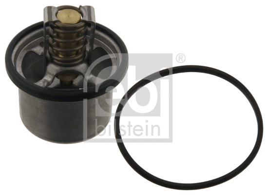 Thermostat, coolant (18960)