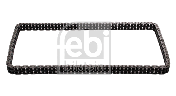 Timing Chain (17650)