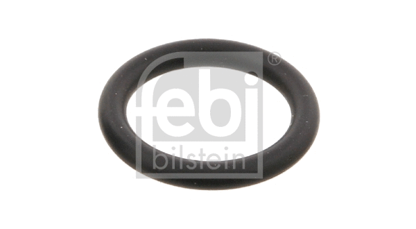 Gasket, coolant flange (12409)