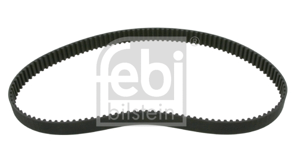 Timing Belt (17625)