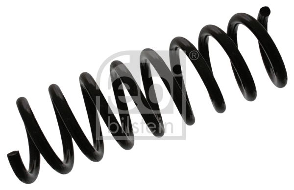 Suspension Spring (46902)