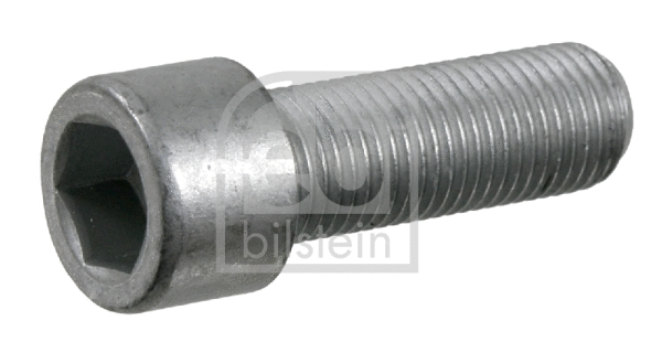 Screw (22248)