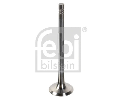 Exhaust Valve (181648)