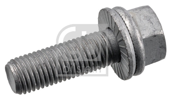 Bolt, brake caliper