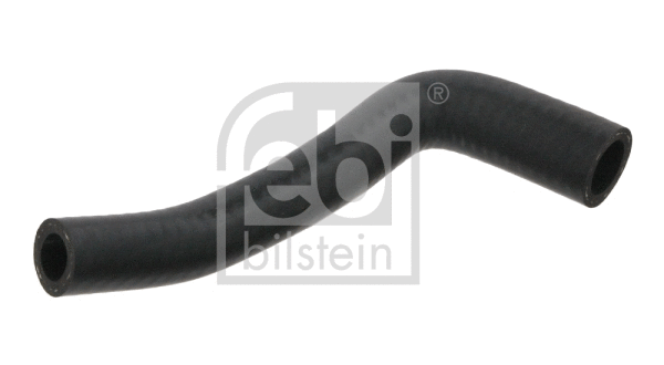 Radiator Hose (33526)