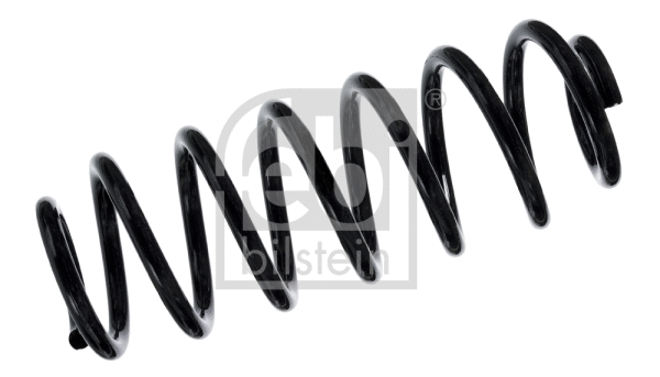 Suspension Spring (104724)