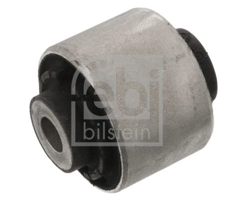 Mounting, control/trailing arm (29944)
