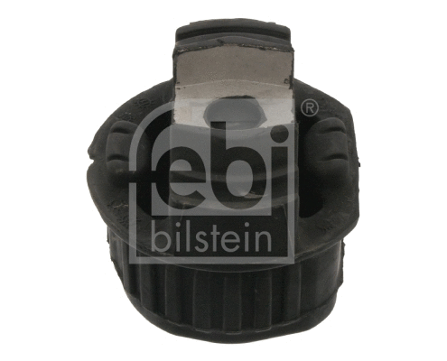 Bushing, axle beam (02498)