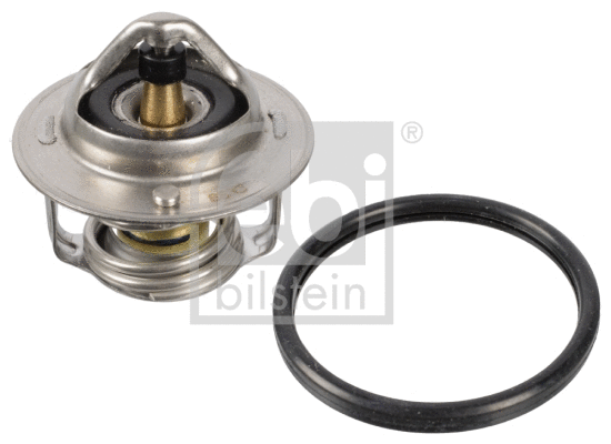Thermostat, coolant (108076)