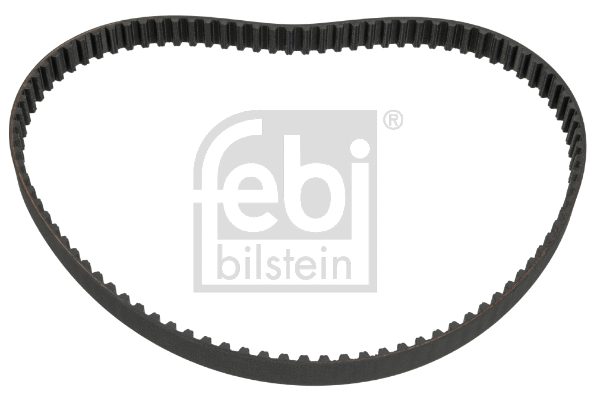 Timing Belt (18976)