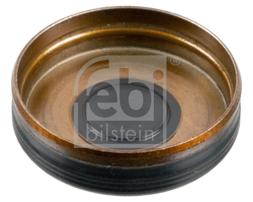 Cover, timing chain tensioner (assembly opening)