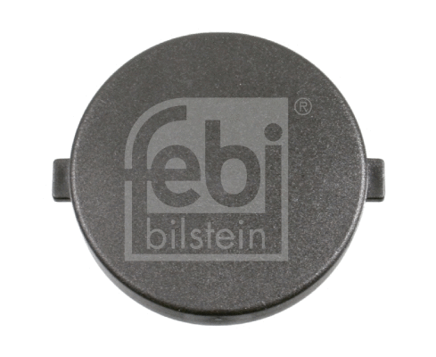 Lid, tensioner pulley lever (11696)