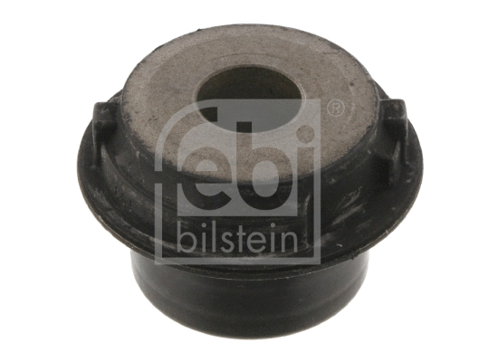 Mounting, control/trailing arm (36168)