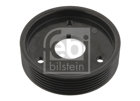 Belt Pulley, power steering pump (29501)