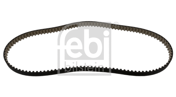 Timing Belt (47999)