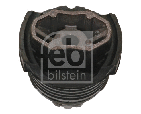 Bushing, axle beam (48737)