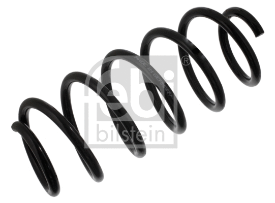 Suspension Spring (39143)