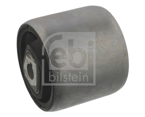 Mounting, control/trailing arm (36082)