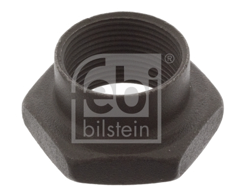 Nut, stub axle (02229)