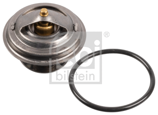 Thermostat, coolant (171128)