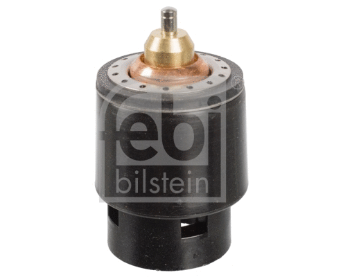 Thermostat, coolant (108185)