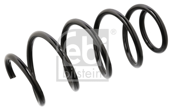Suspension Spring (104737)
