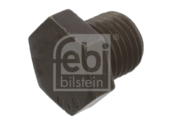 Screw Plug, oil sump (48877)