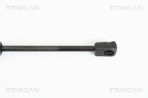 Gas Spring, bonnet