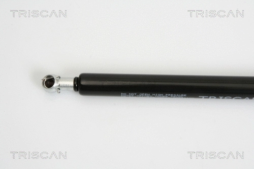 Gas Spring, boot/cargo area