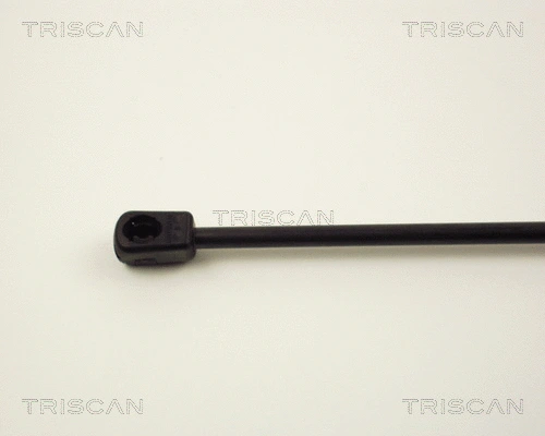 Gas Spring, boot/cargo area