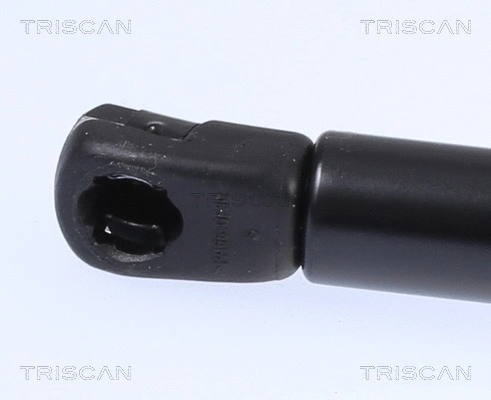 Gas Spring, boot/cargo area